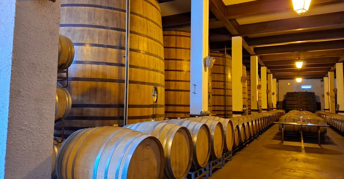 Vista interior de una bodega con grandes barricas de madera para el almacenamiento de vino.